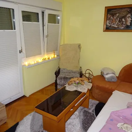 Tjasa Apartment